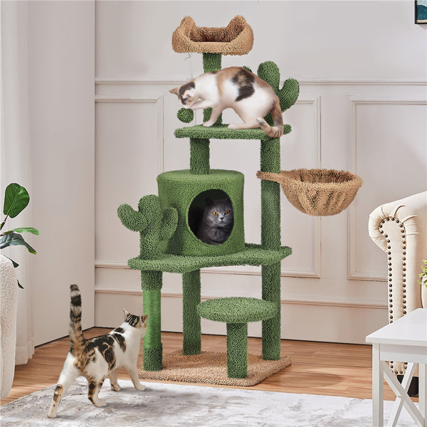 Archie Oscar Burnley 53 H Cat Cactus Tree Condo Kitten Tree